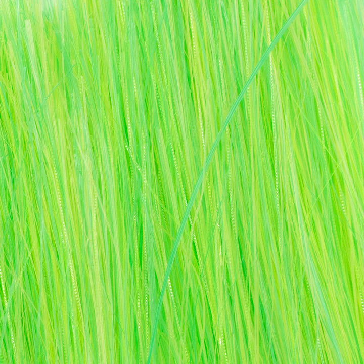 Translucy Brush Fiber