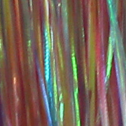 variant-pgp69-132073