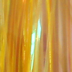 variant-pgp69-132110