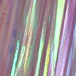 variant-pgp69-132