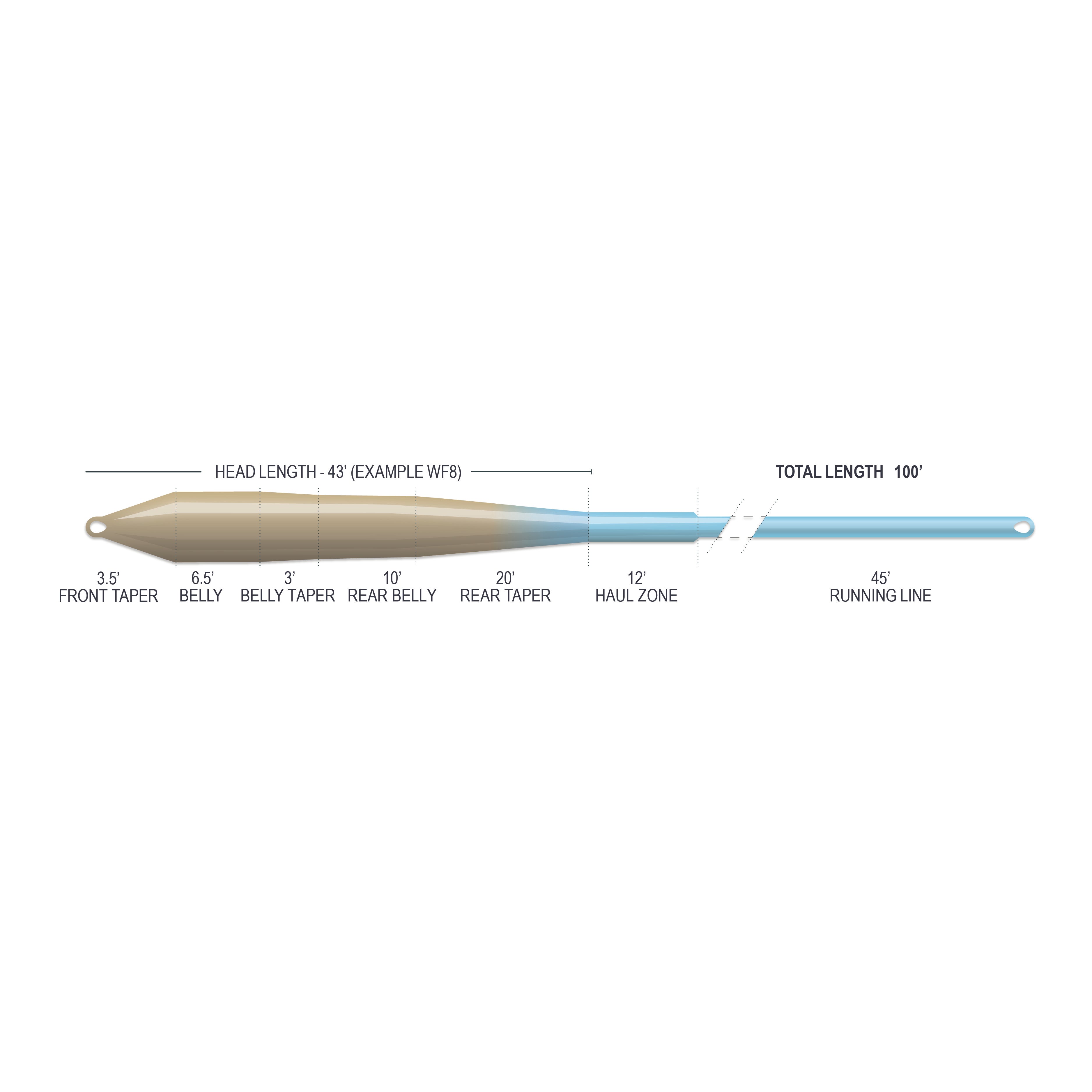 Superflo Max Smooth Flats Universal Fly Line | Airflo Fishing