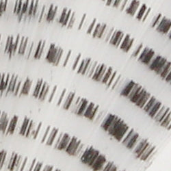 variant-stb-10
