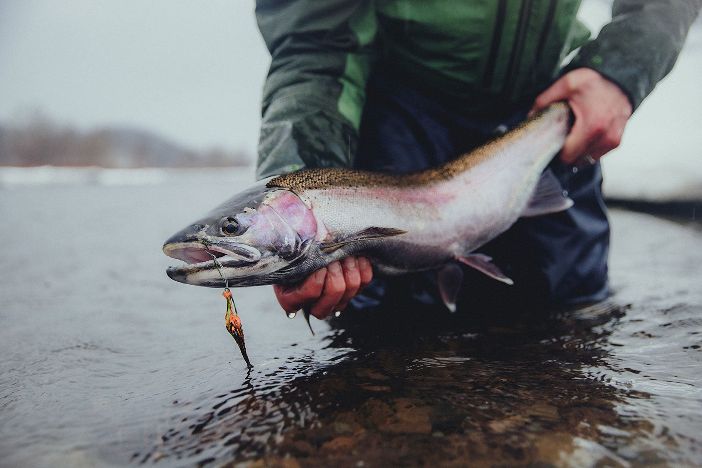 Dyna-King FAQ – Mayfly Outdoors