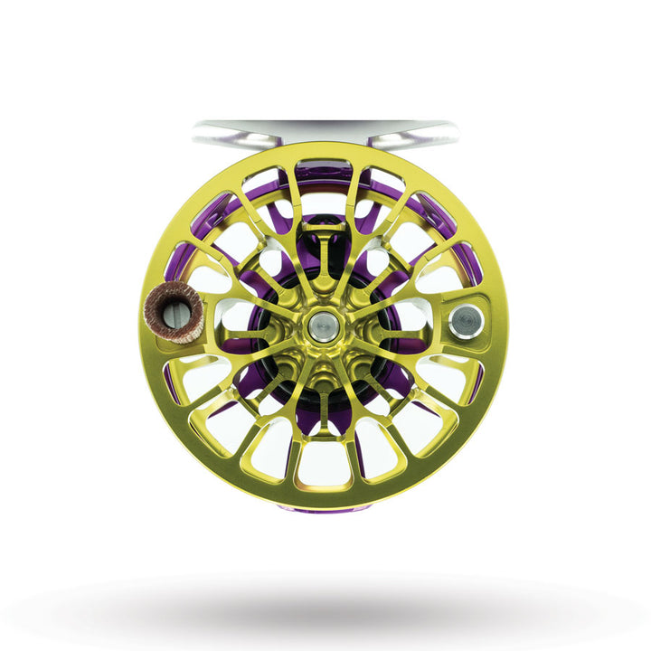 MARDI GRAS - FLY SHOP EXCLUSIVE