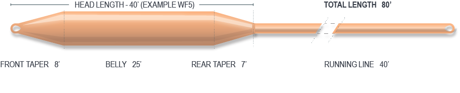 CAST FLY LINES
