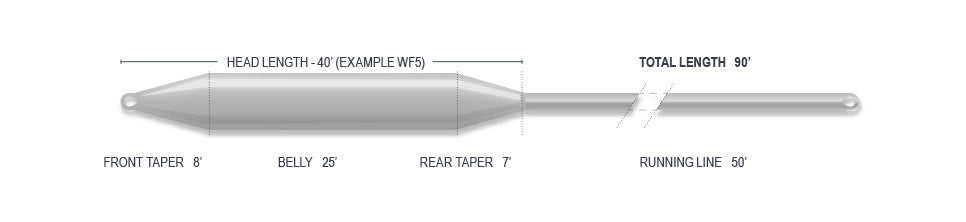CAST FLY LINES