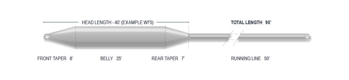 CAST FLY LINES