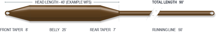 CAST FLY LINES