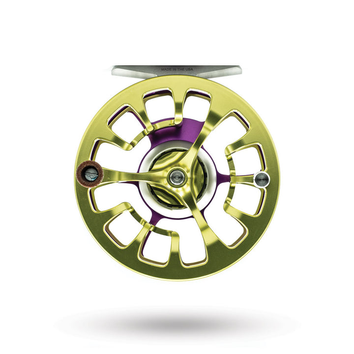 MARDI GRAS - FLY SHOP EXCLUSIVE