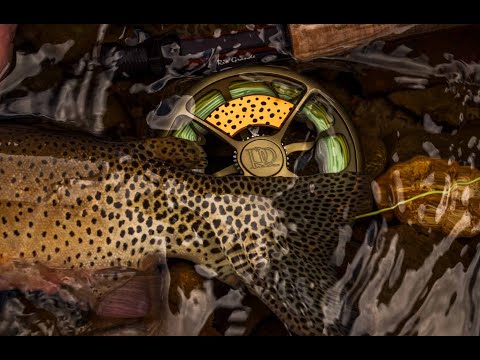 TU RIO GRANDE CUTTHROAT<br>COLORADO REEL