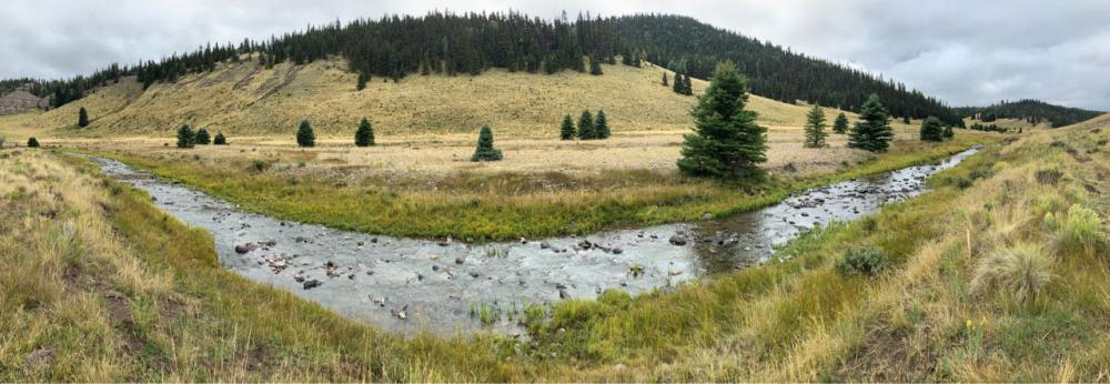 TU RIO GRANDE CUTTHROAT<br>COLORADO REEL