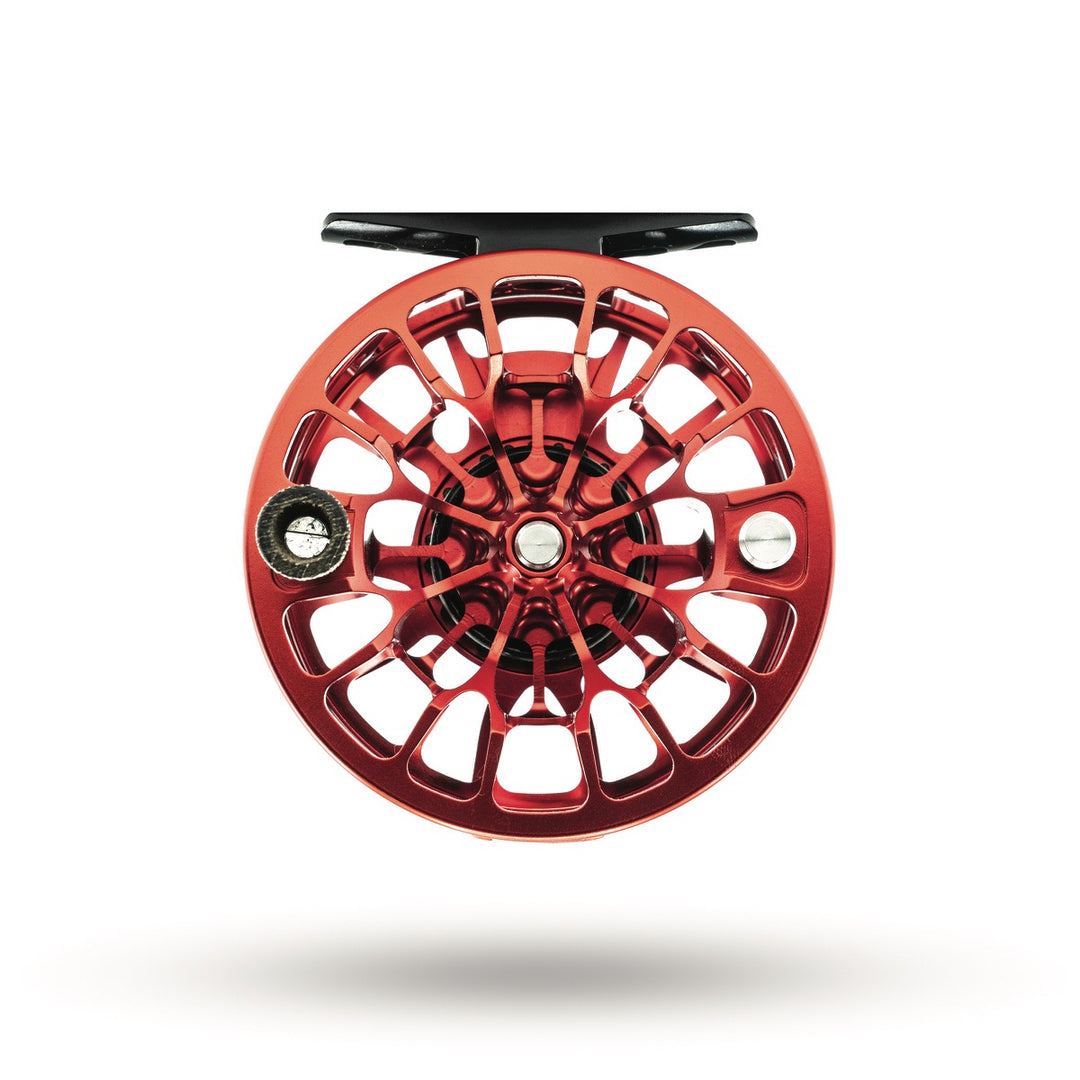 East vs West Animas Reel Brook Trout Rainbow Trout Mayfly Outdoors East vs West Animas Reel Brook Trout Rainbow Trout Mayfly Outdoors