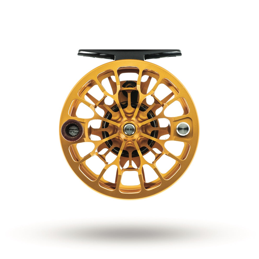 TU GOLDEN TROUT<br>ANIMAS 4/5 REEL