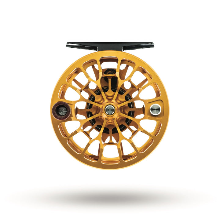 TU GOLDEN TROUT<br>ANIMAS 4/5 REEL